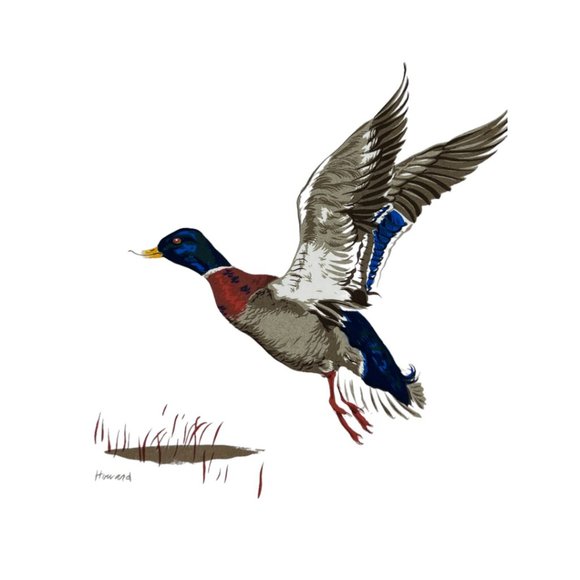 Vtg SCREENCRAFT Mallard TRIVET / WALL HANGING Artist P. Howard Ceramic 6" sq - Picture 5 of 11